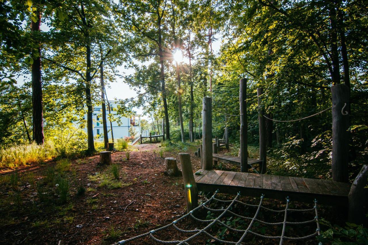 Oasis Appart - Wohnen Im Koenigspark - Elbhang Dresden - Grosse Terrasse - Netflix - Tg エクステリア 写真